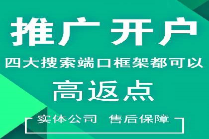 百度竞价包年推广案例深度剖析